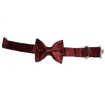 Παπιγιόν υφασμάτινο μπορντώ